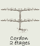 Cordon 2 étages